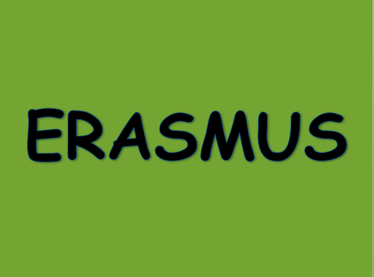 Grafik Erasmus