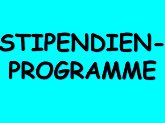 Grafik Stipendien-Programme II