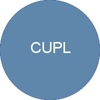 Übersicht Outgoings CUPL