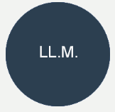 LLM.png
